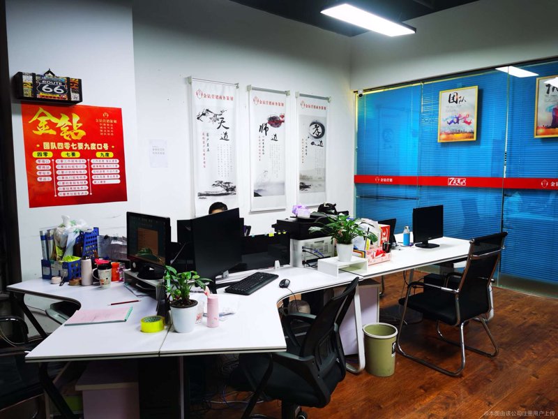 商务信息咨询服务：洞察未来趋势